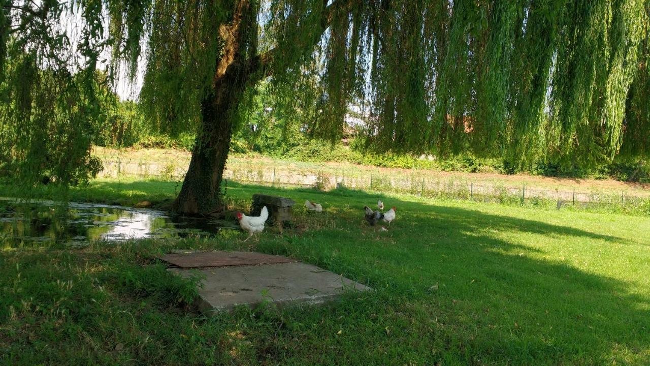 Agriturismo Cascina Poscallone Abbiategrasso Extérieur photo